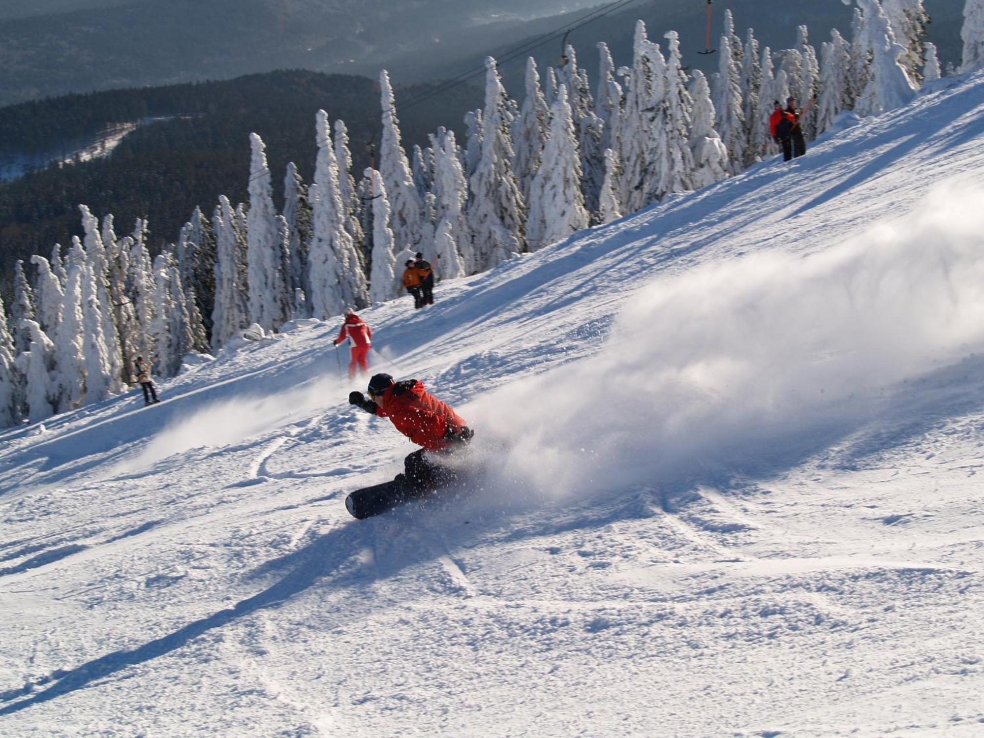 Sonnenhof Resort Bayerischer Wald Lam Luaran gambar