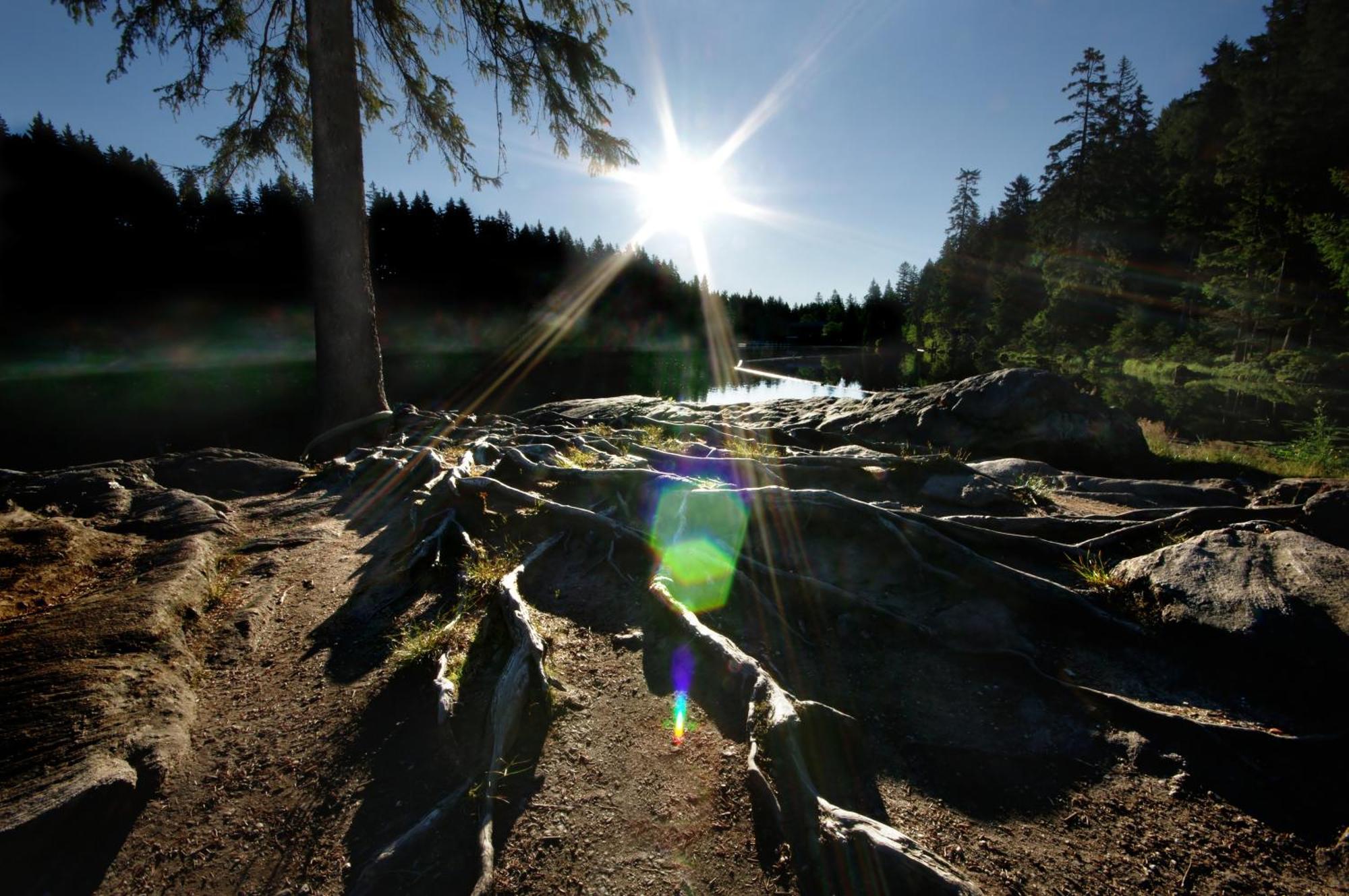 Sonnenhof Resort Bayerischer Wald Lam Luaran gambar