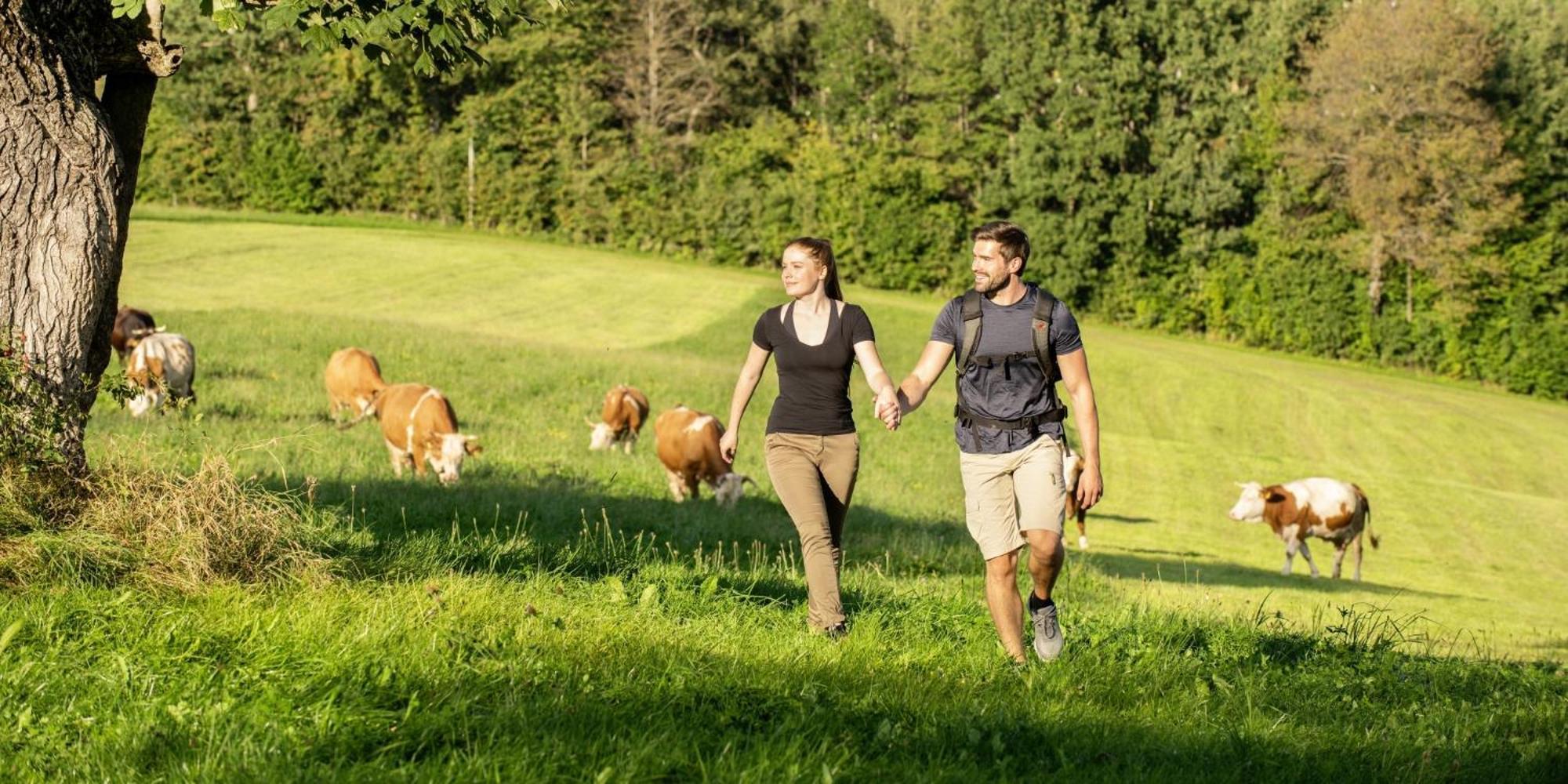 Sonnenhof Resort Bayerischer Wald Lam Luaran gambar
